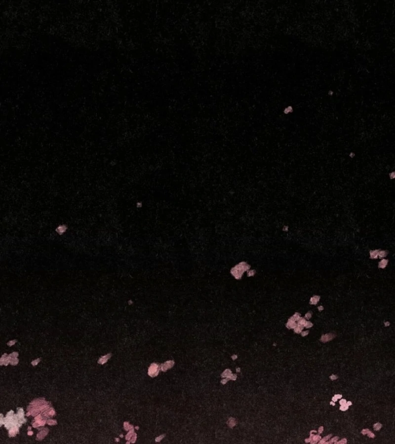 The Summer Swallowed by Darkness Chapter 18 - Page 1