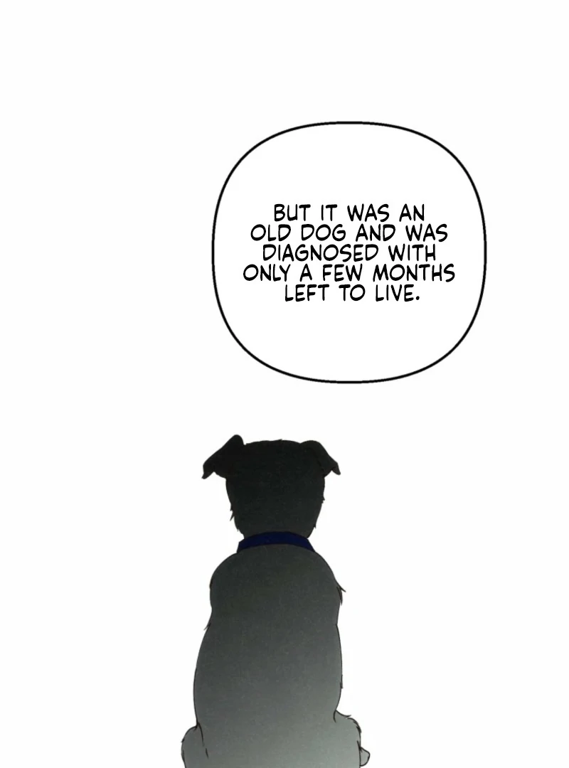 The Summer Swallowed by Darkness Chapter 22 - Page 10