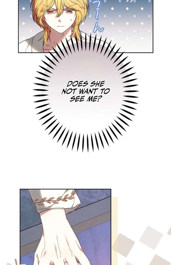 The Super-Strong Noble Lady Wants to Be Truly Weak Chapter 10 - Page 62