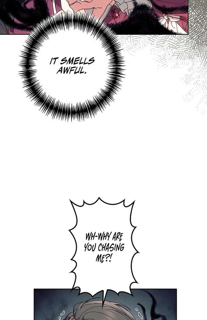 The Super-Strong Noble Lady Wants to Be Truly Weak Chapter 10 - Page 72