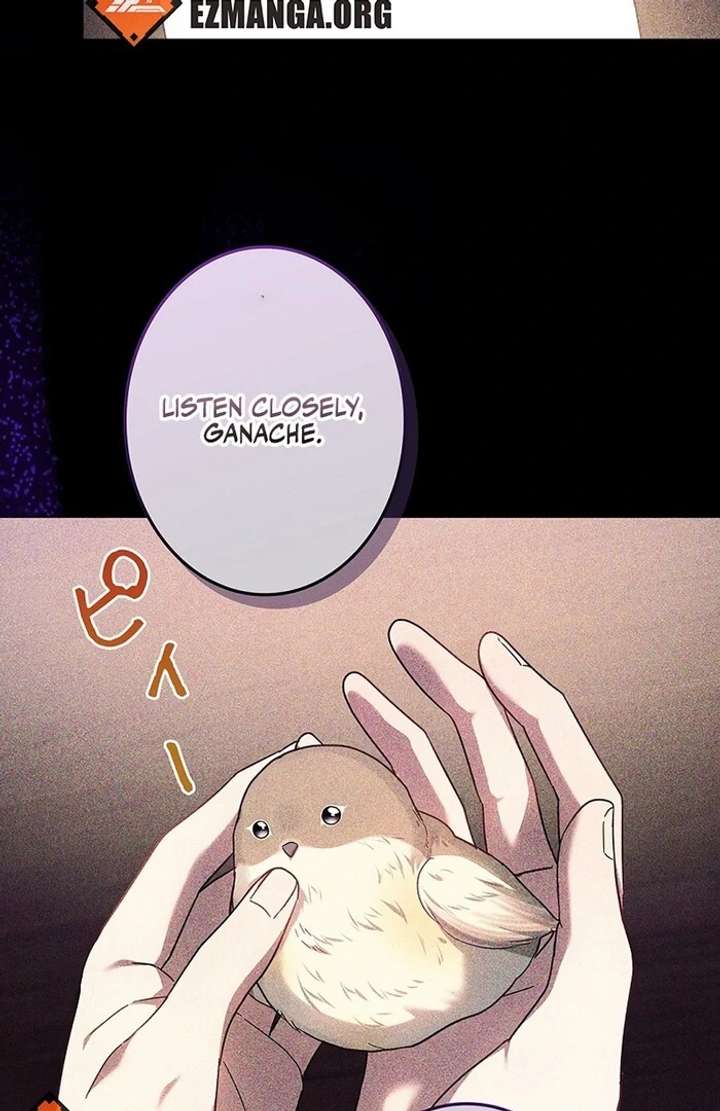 The Super-Strong Noble Lady Wants to Be Truly Weak Chapter 11 - Page 40