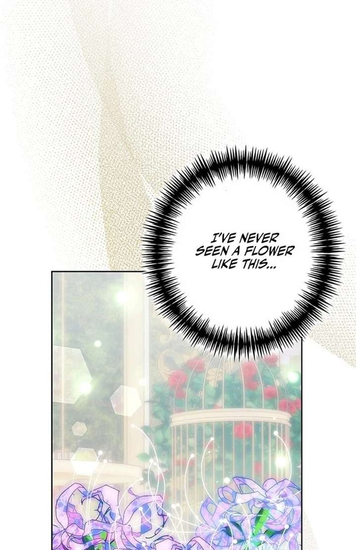 The Super-Strong Noble Lady Wants to Be Truly Weak Chapter 12 - Page 37