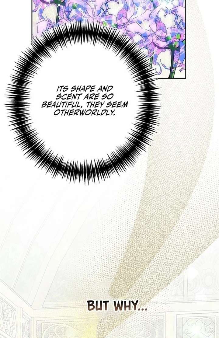 The Super-Strong Noble Lady Wants to Be Truly Weak Chapter 12 - Page 38