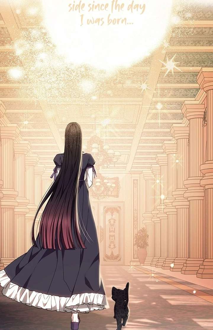 The Super-Strong Noble Lady Wants to Be Truly Weak Chapter 15 - Page 106