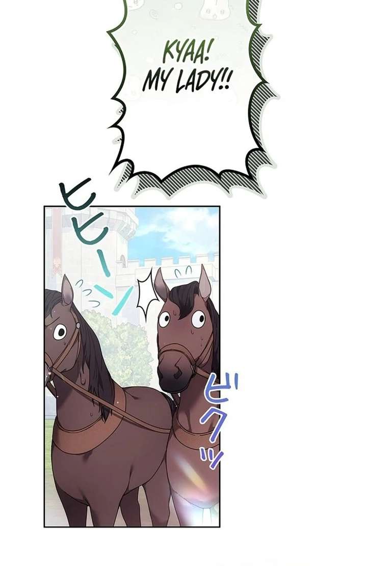 The Super-Strong Noble Lady Wants to Be Truly Weak Chapter 17 - Page 15
