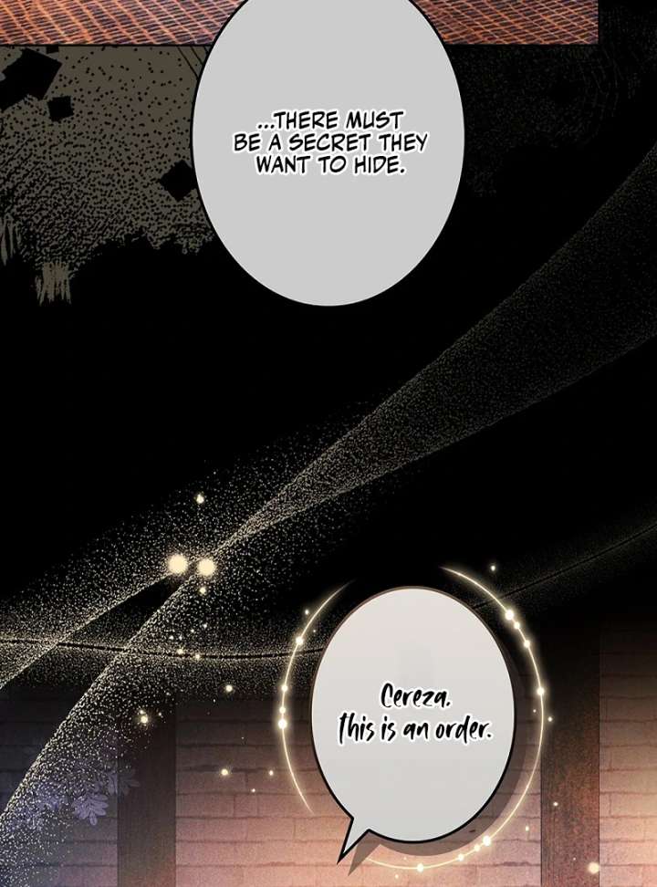 The Super-Strong Noble Lady Wants to Be Truly Weak Chapter 19 - Page 116