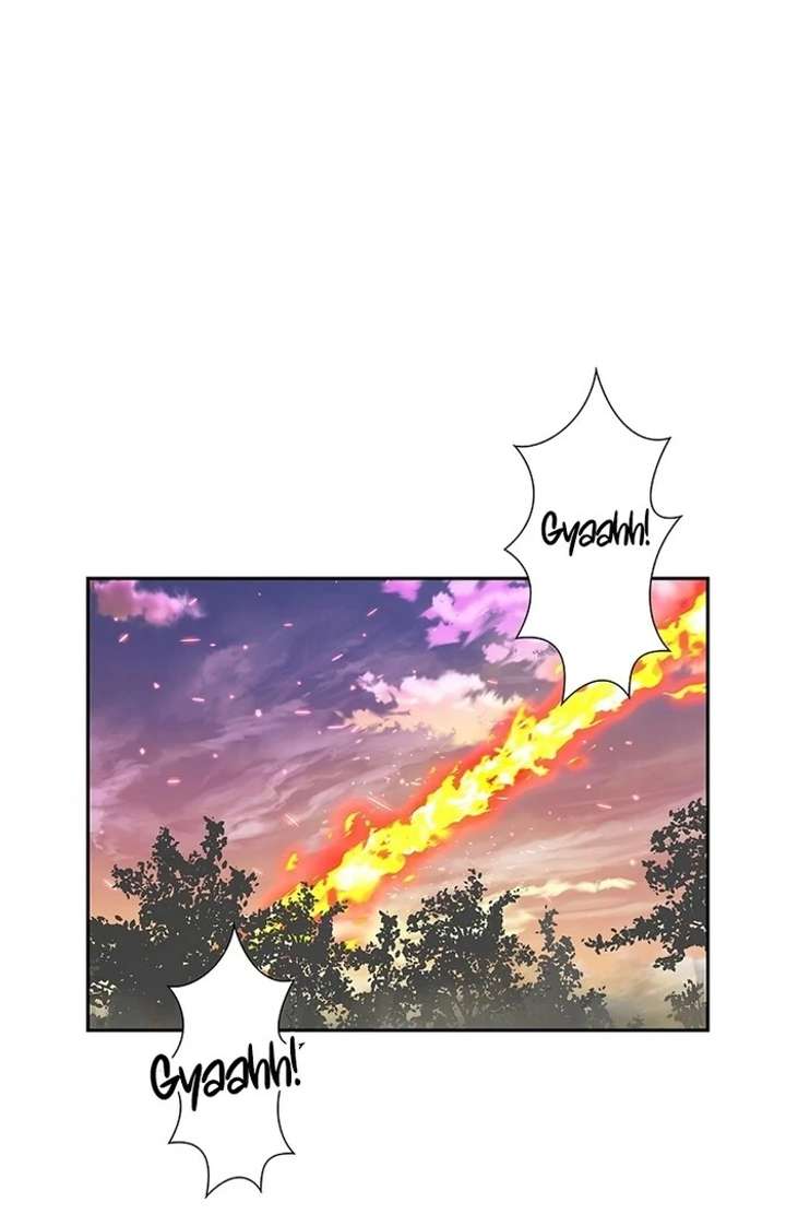 The Super-Strong Noble Lady Wants to Be Truly Weak Chapter 2 - Page 19