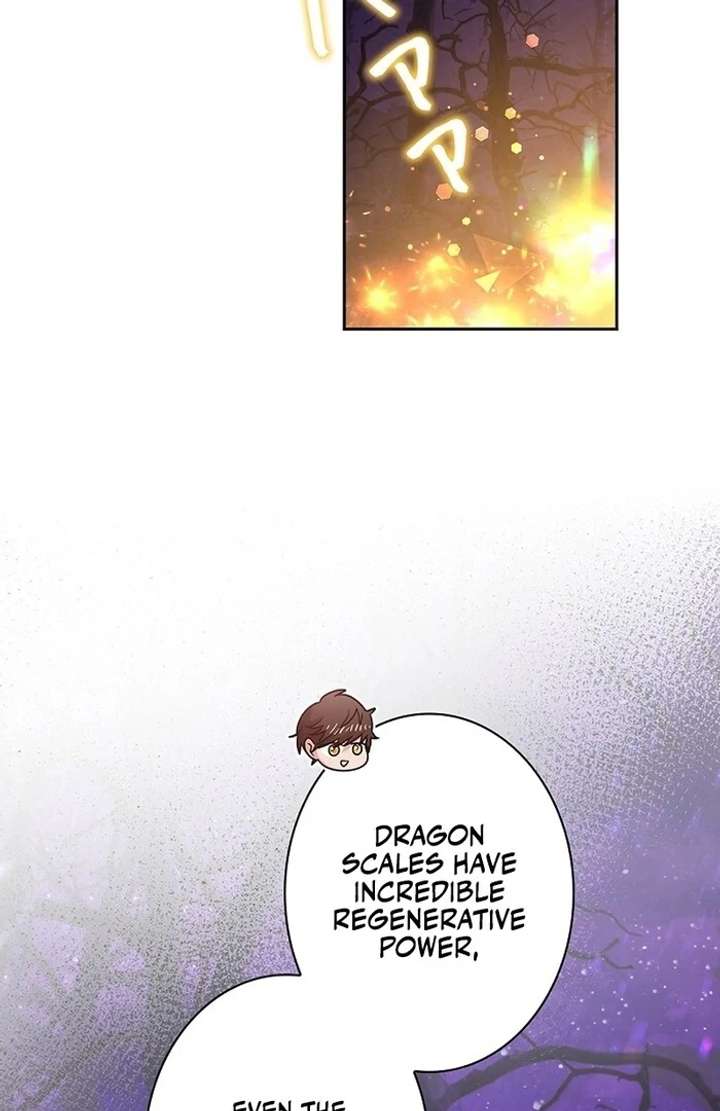 The Super-Strong Noble Lady Wants to Be Truly Weak Chapter 2 - Page 214