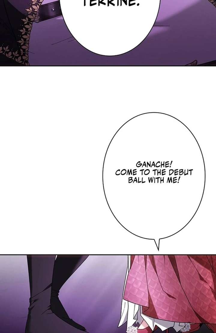 The Super-Strong Noble Lady Wants to Be Truly Weak Chapter 2 - Page 223