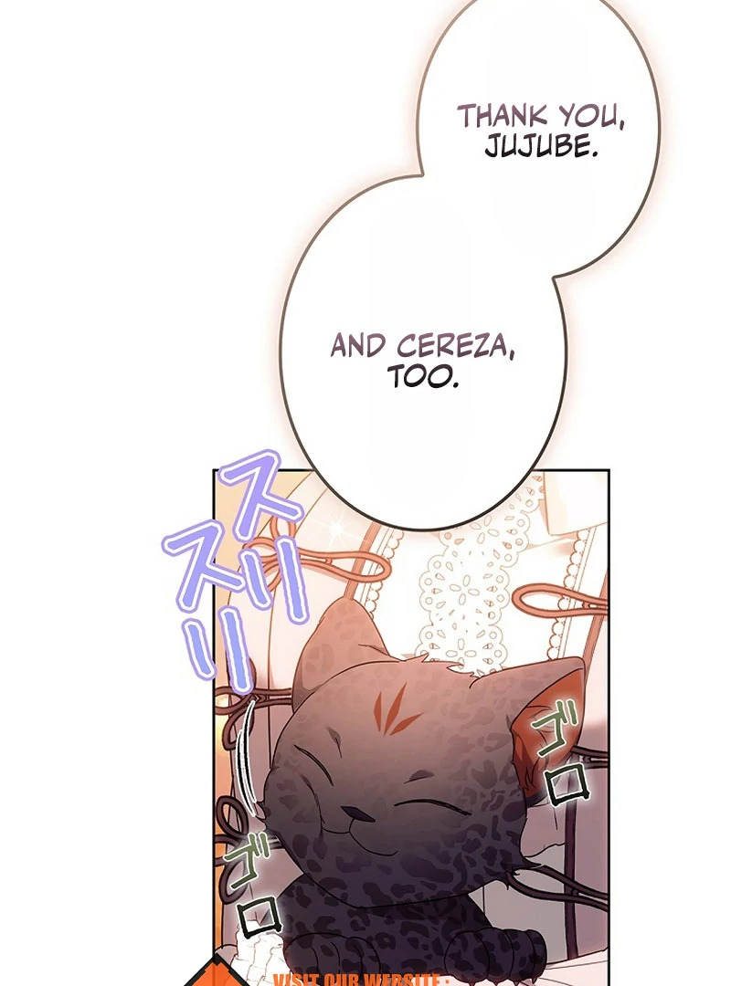 The Super-Strong Noble Lady Wants to Be Truly Weak Chapter 20 - Page 67