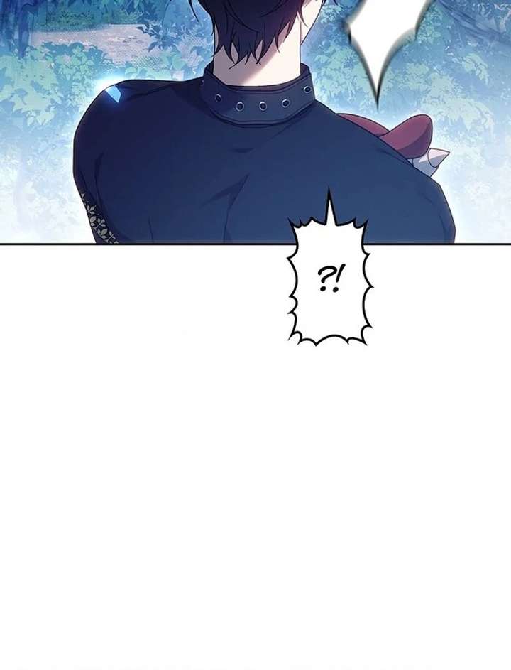 The Super-Strong Noble Lady Wants to Be Truly Weak Chapter 5 - Page 84