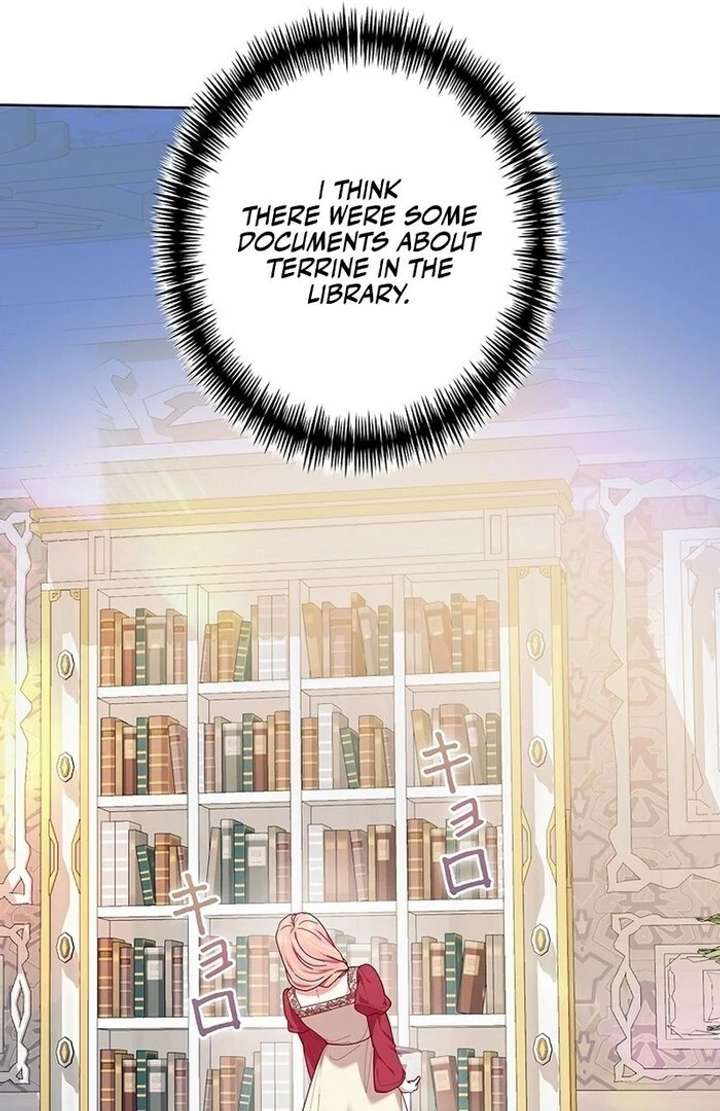The Super-Strong Noble Lady Wants to Be Truly Weak Chapter 8 - Page 19