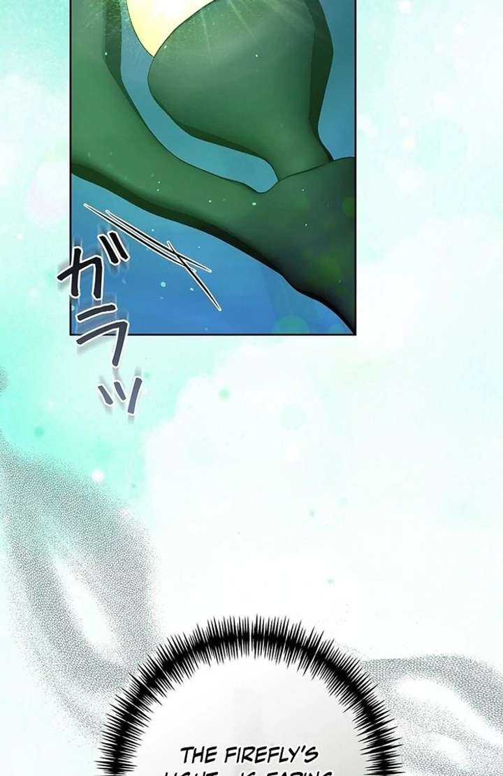 The Super-Strong Noble Lady Wants to Be Truly Weak Chapter 8 - Page 65