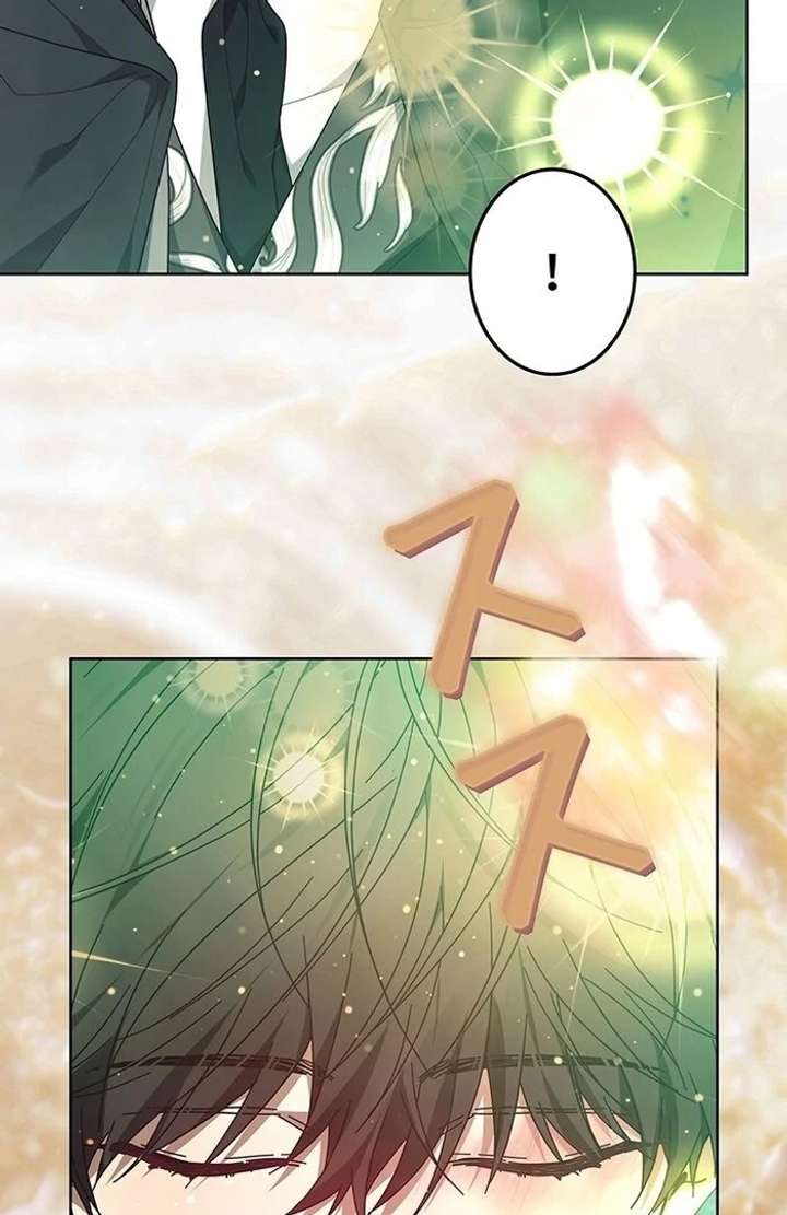 The Super-Strong Noble Lady Wants to Be Truly Weak Chapter 8 - Page 69