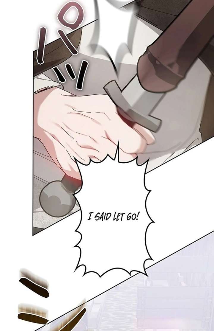 The Super-Strong Noble Lady Wants to Be Truly Weak Chapter 9 - Page 107