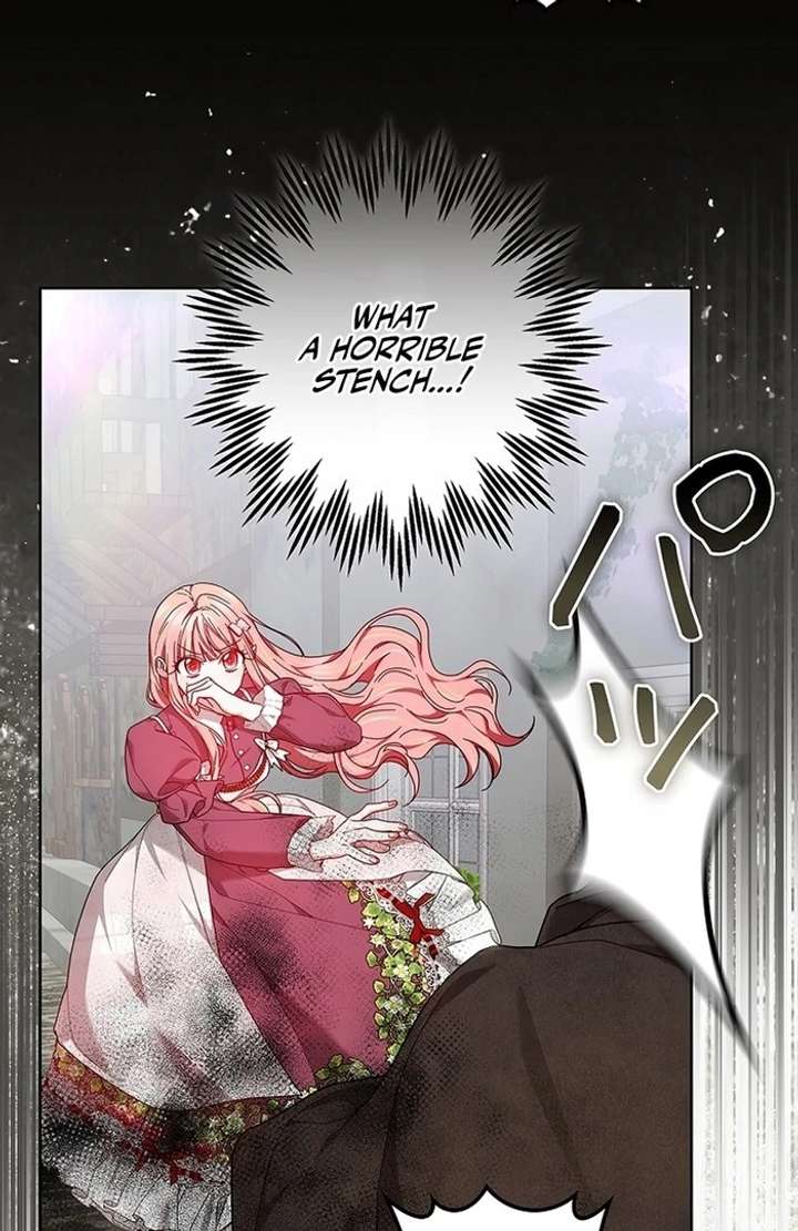 The Super-Strong Noble Lady Wants to Be Truly Weak Chapter 9 - Page 115