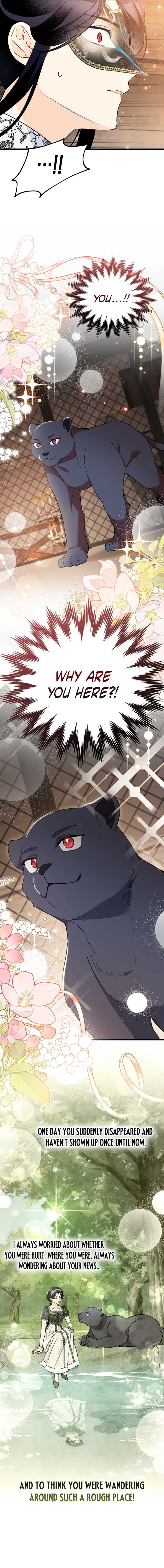 The Symbiotic Relationship Between the Rabbit and the Black Panther Chapter 186 - Page 12