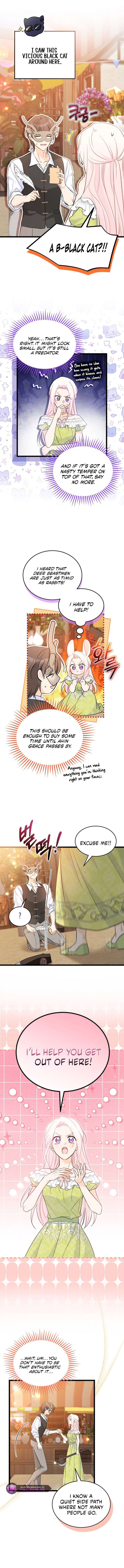 The Symbiotic Relationship Between the Rabbit and the Black Panther Chapter 193 - Page 2