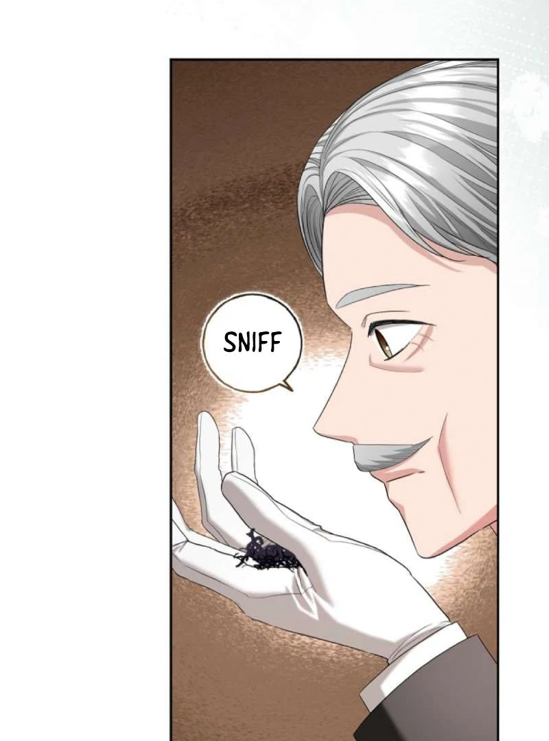 The Terminally Ill Miss Goes Undercover in the Villain’s Household Chapter 11 - Page 27