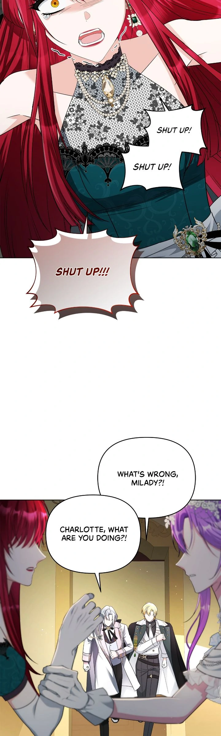 The Ugly Lady’s Secret Pouch Chapter 70 - Page 17