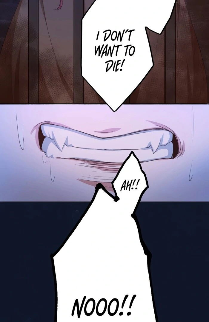 The Unhappy Poison Witch’s Happy Marriage Chapter 13 - Page 103