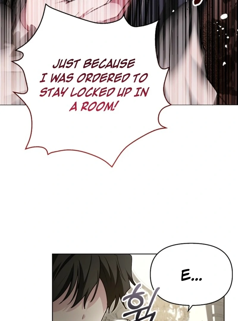 The Villainess’s Wise Retirement Plan Chapter 42 - Page 106
