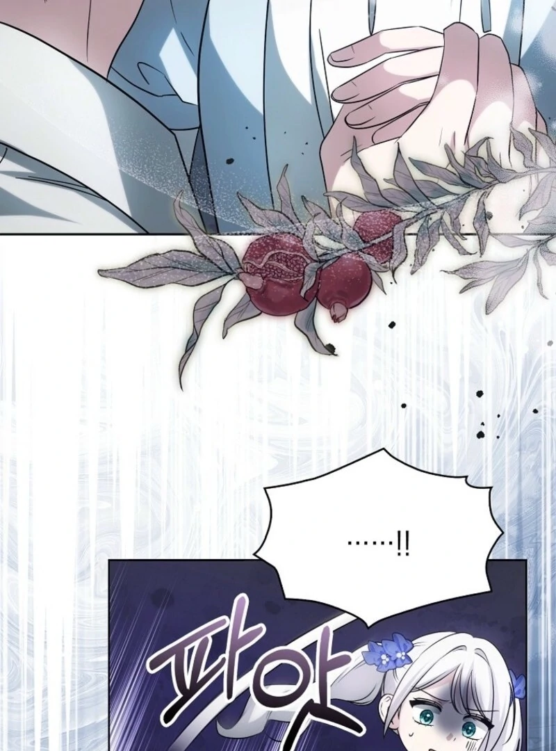 The Villainess’s Wise Retirement Plan Chapter 44 - Page 45