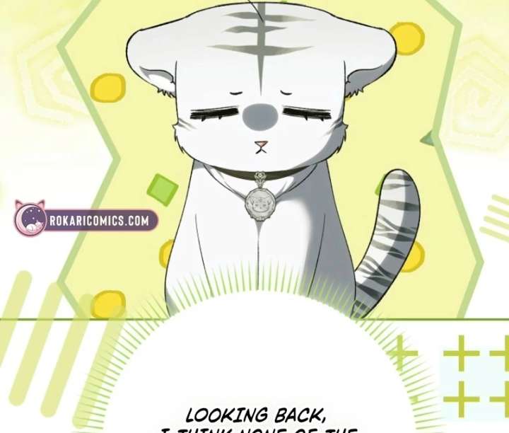 The White Tiger Princess Is Not in Danger Chapter 16 - Page 9