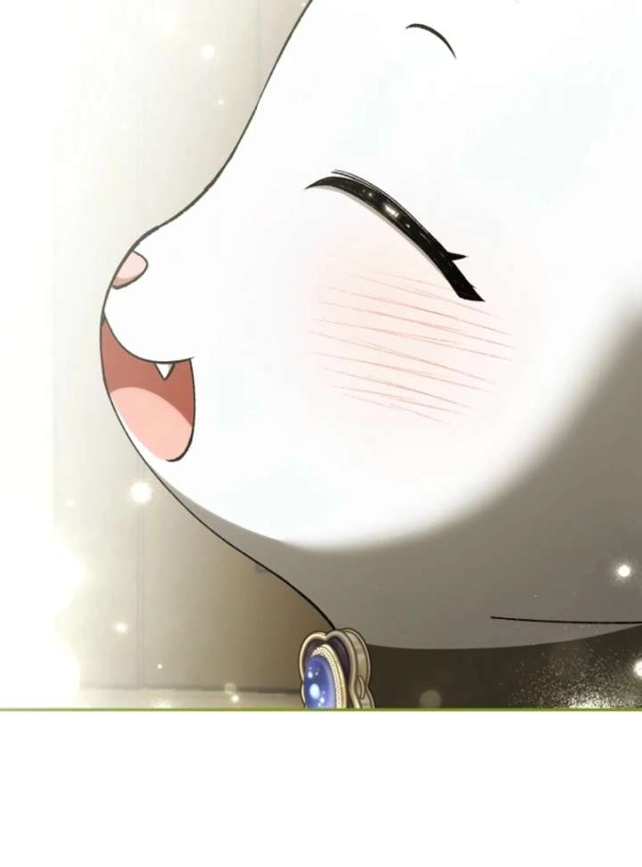 The White Tiger Princess Is Not in Danger Chapter 17 - Page 35