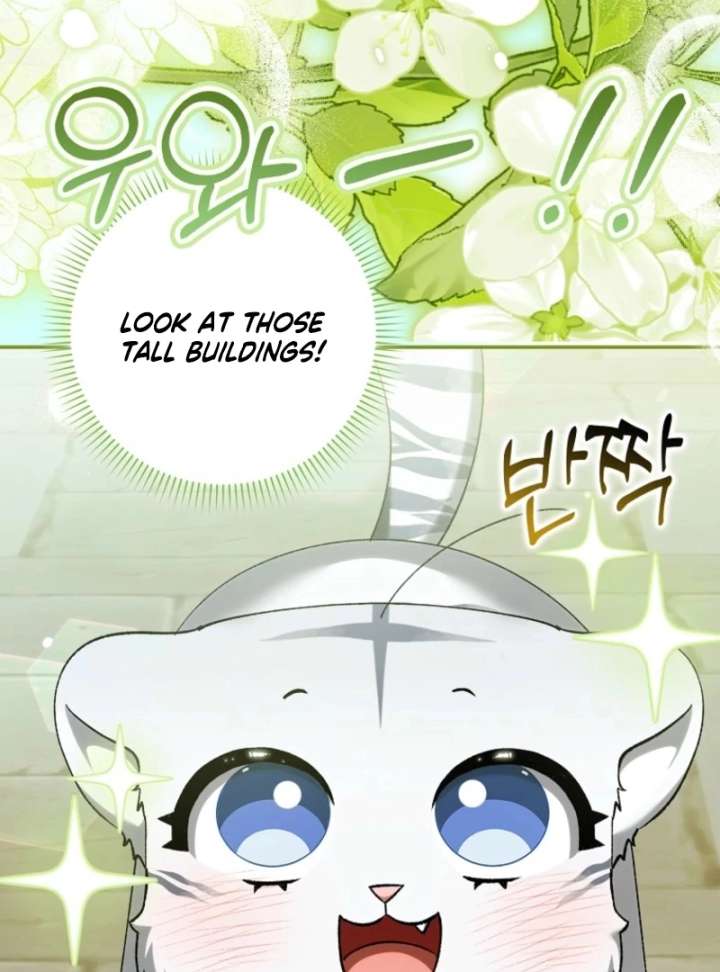 The White Tiger Princess Is Not in Danger Chapter 17 - Page 42
