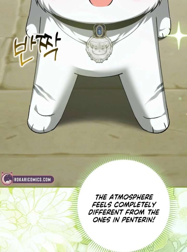 The White Tiger Princess Is Not in Danger Chapter 17 - Page 43