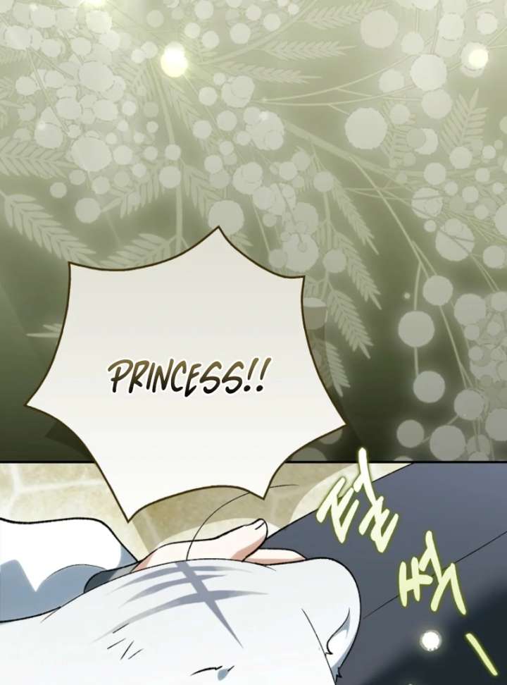 The White Tiger Princess Is Not in Danger Chapter 18 - Page 110