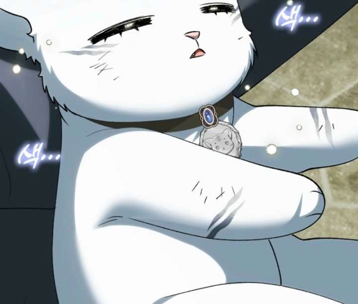 The White Tiger Princess Is Not in Danger Chapter 18 - Page 111