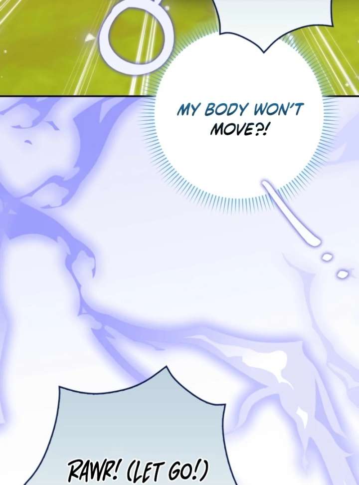 The White Tiger Princess Is Not in Danger Chapter 18 - Page 46