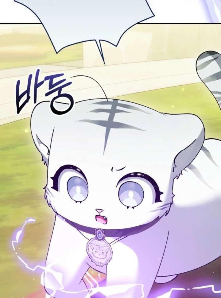 The White Tiger Princess Is Not in Danger Chapter 18 - Page 47