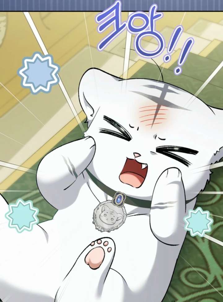 The White Tiger Princess Is Not in Danger Chapter 18 - Page 10