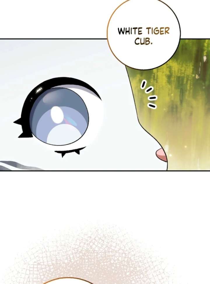 The White Tiger Princess Is Not in Danger Chapter 19 - Page 12