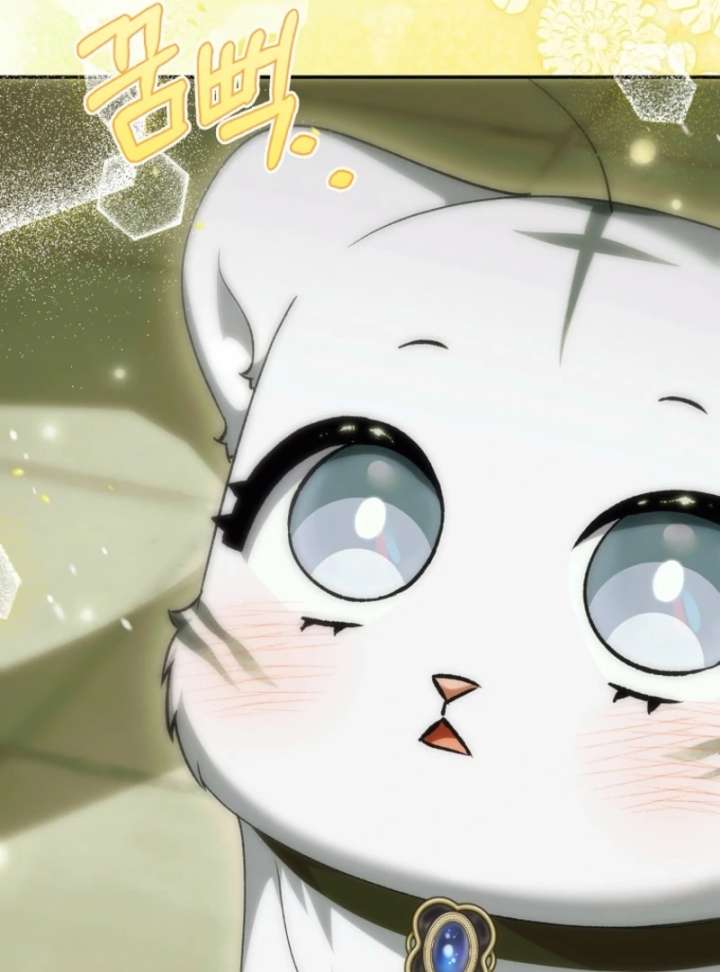 The White Tiger Princess Is Not in Danger Chapter 19 - Page 139