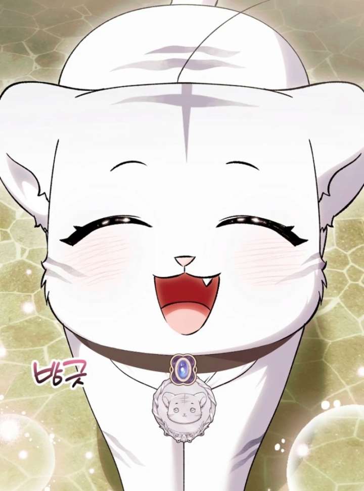 The White Tiger Princess Is Not in Danger Chapter 19 - Page 48