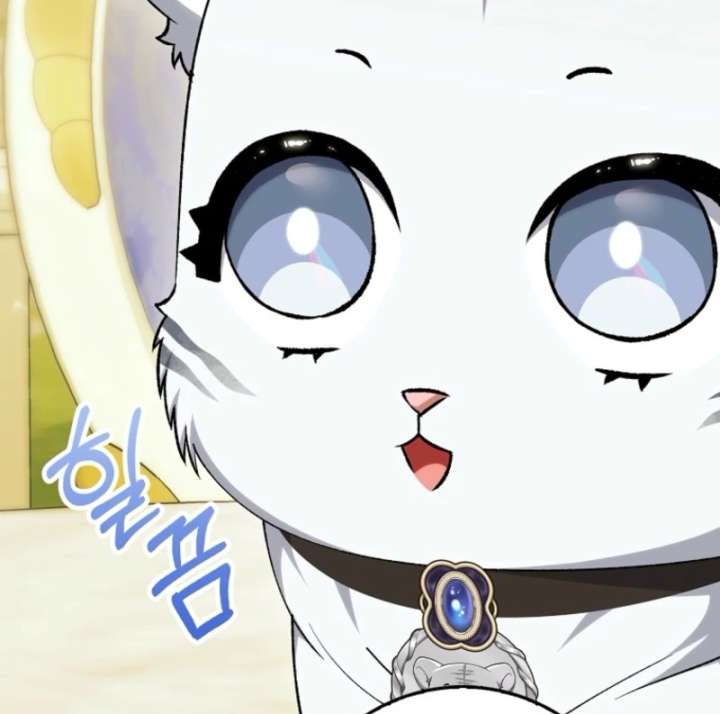 The White Tiger Princess Is Not in Danger Chapter 19 - Page 8