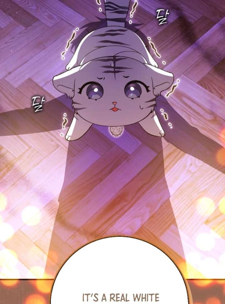 The White Tiger Princess Is Not in Danger Chapter 3 - Page 44