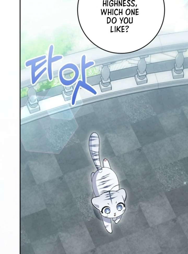 The White Tiger Princess Is Not in Danger Chapter 8 - Page 103