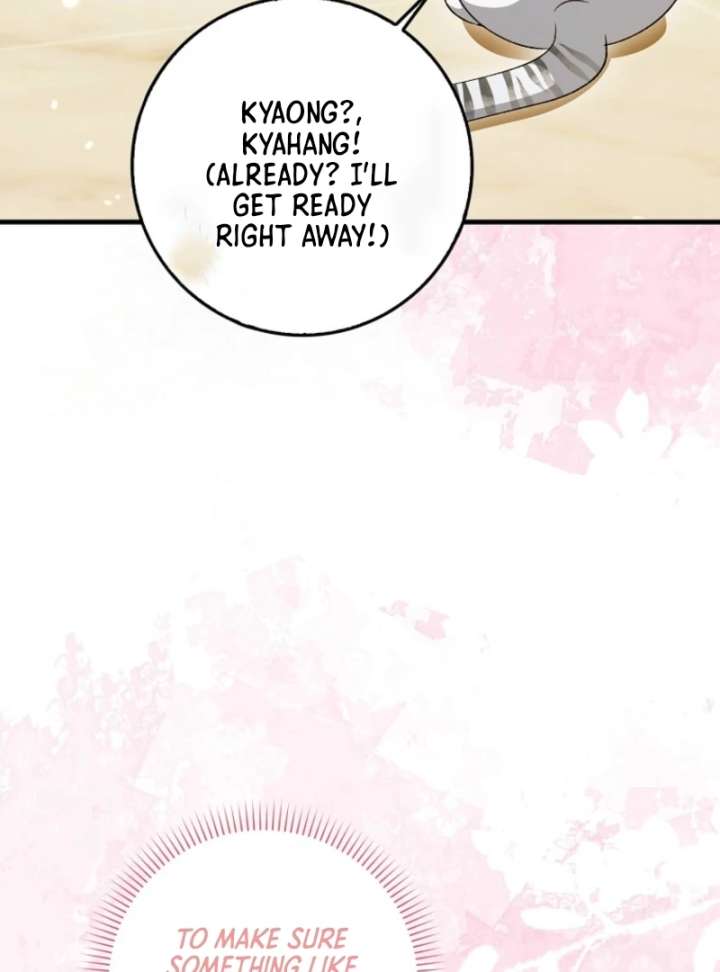 The White Tiger Princess Is Not in Danger Chapter 8 - Page 22