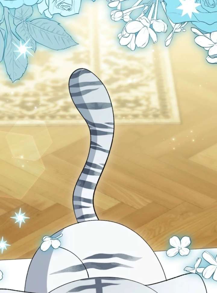 The White Tiger Princess Is Not in Danger Chapter 8 - Page 34
