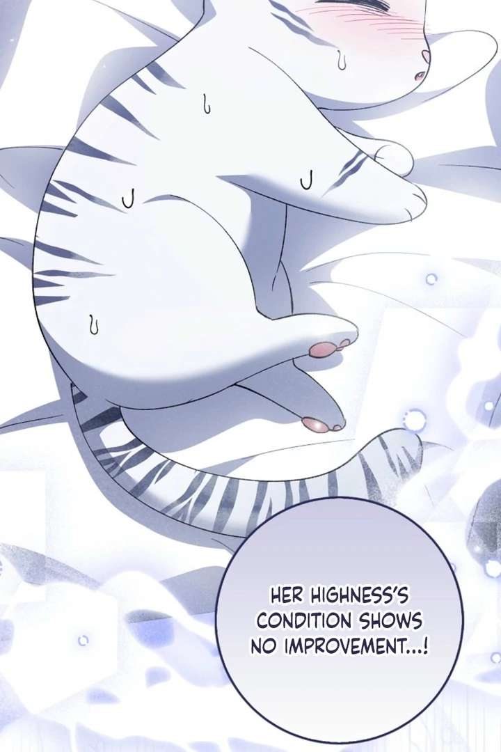 The White Tiger Princess Is Not in Danger Chapter 9 - Page 18