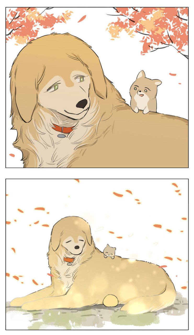 The Wolf That Picked Something Up Chapter 13 - Page 20