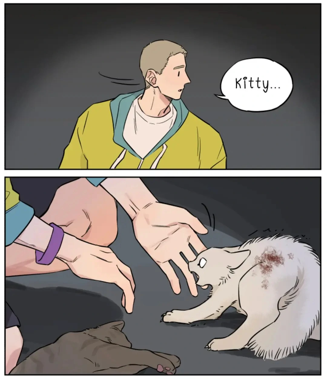 The Wolf That Picked Something Up Chapter 146 - Page 15