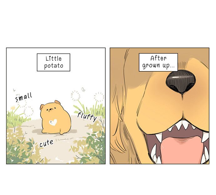 The Wolf That Picked Something Up Chapter 17 - Page 3