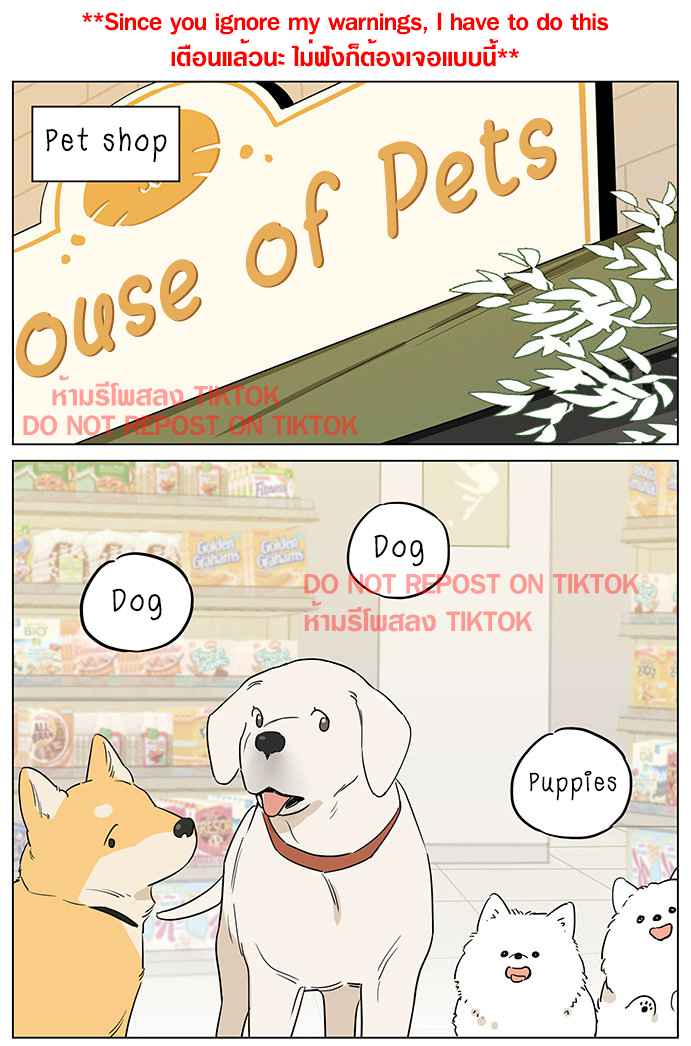 The Wolf That Picked Something Up Chapter 61 - Page 1