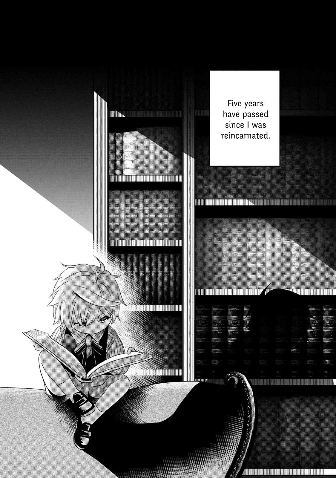 The World’s Best Assassin, Reincarnated in a Different World as an Aristocrat Chapter 2.1 - Page 0